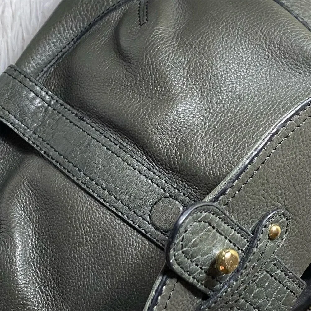 Etienne Aigner Elegant Leather Satchel with Gold Hardware for Women